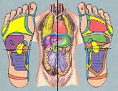 Illustration Reflexologie plantaire Aix en Provence