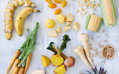 Tips Naturo Hiver serein