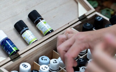 Les outils en Naturopathie : les plantes