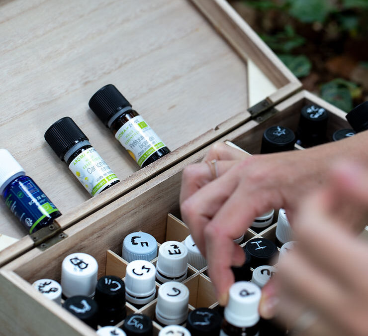 Les outils en Naturopathie : les plantes