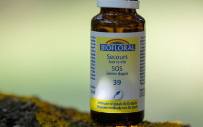 Les élixirs floraux du Dr Bach