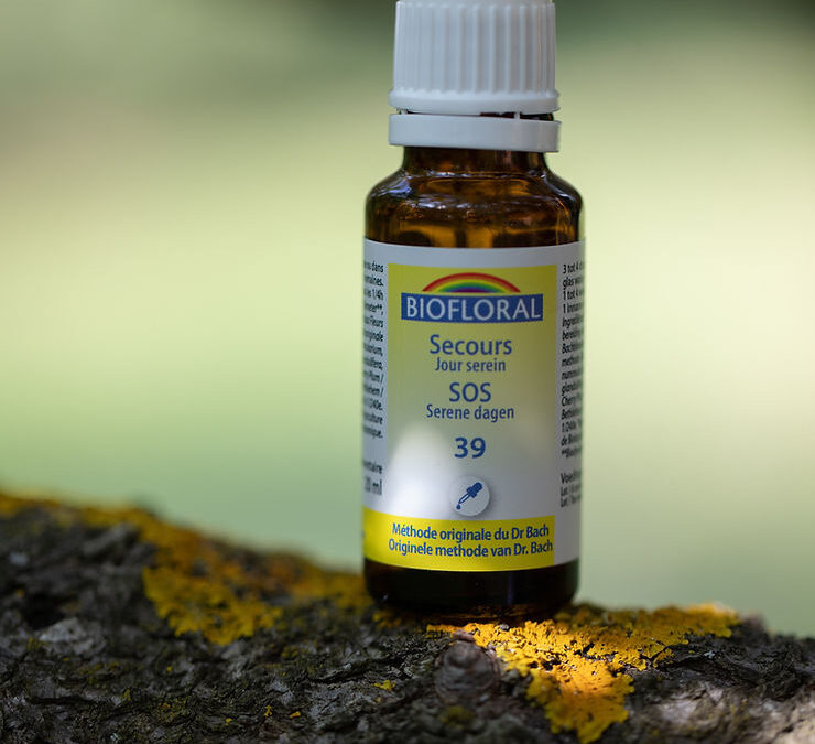 Les élixirs floraux du Dr Bach